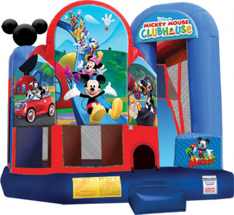 Mickey and Friends Backyard Combo